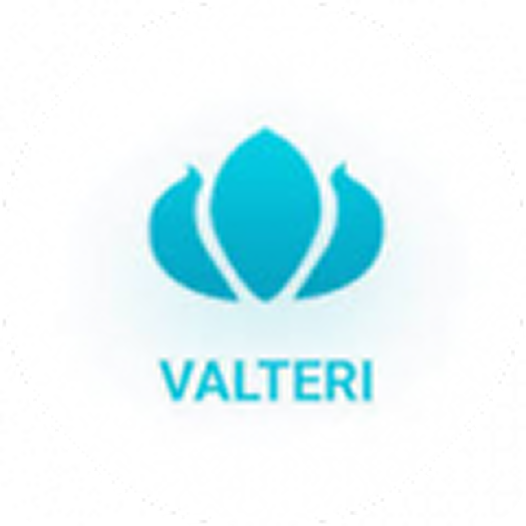 Комплект постельного белья с готовым одеялом со скидкой до 38% в магазине "Valteri"